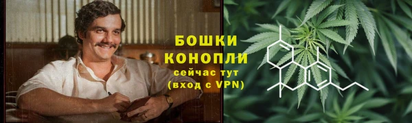 дмт Инта