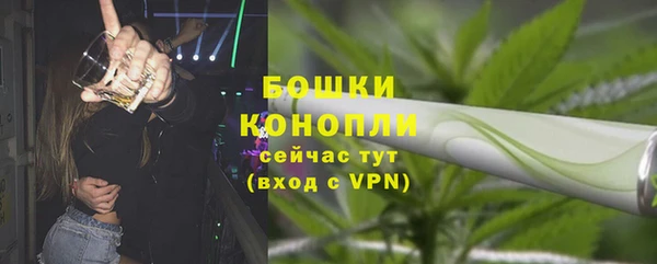 мдпв Иннополис