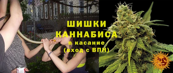 мдпв Иннополис