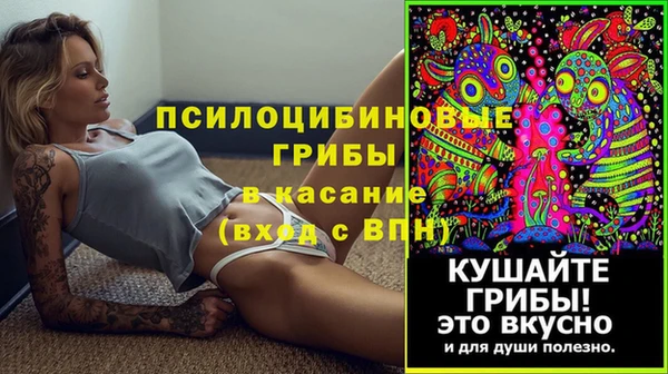 мдпв Иннополис