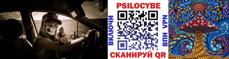 Галлюциногенные грибы мицелий  Купить закладки  Выборг 