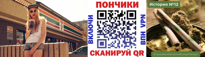 Каннабис гибрид Купить закладки Выборг